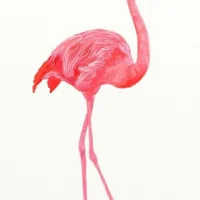 студия красоты the beauty loft flamingo на большой черёмушкинской улице изображение 1
